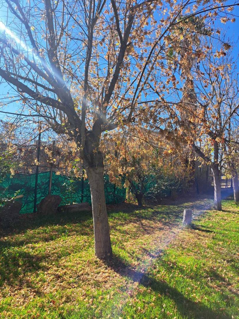 Local Comercial en Venta en Guaymallen, Mendoza