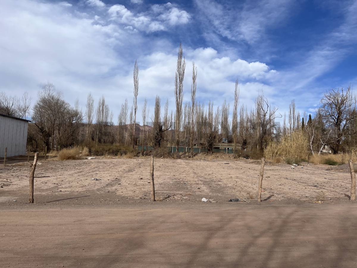 Terreno en Venta en Calingasta, San Juan