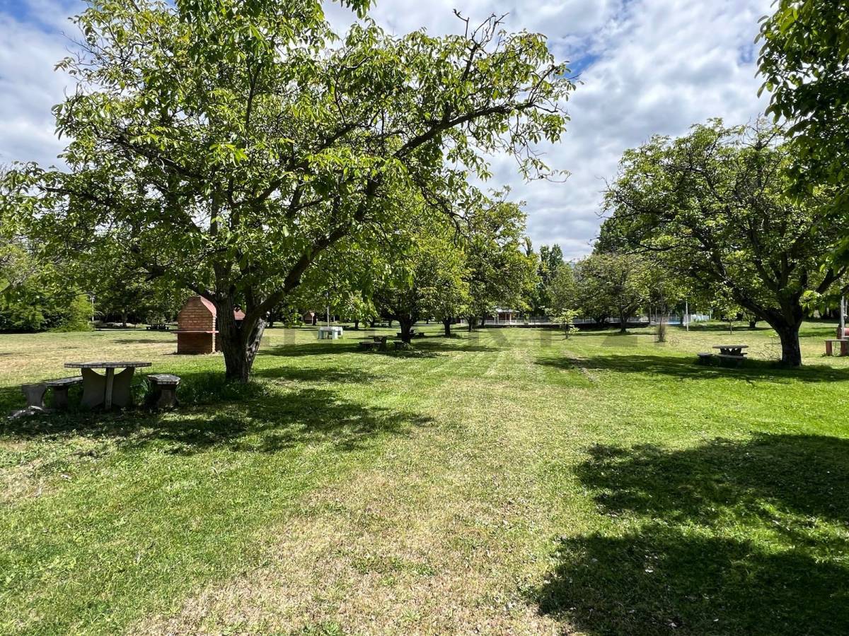 Campo en Venta en Tunuyan, Mendoza