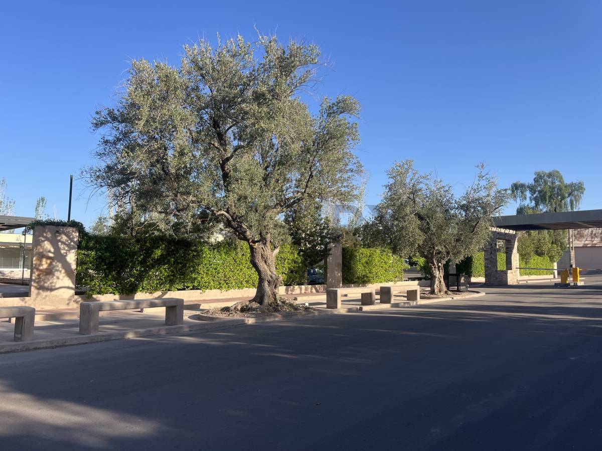 Terreno en Venta en Maipu, Mendoza