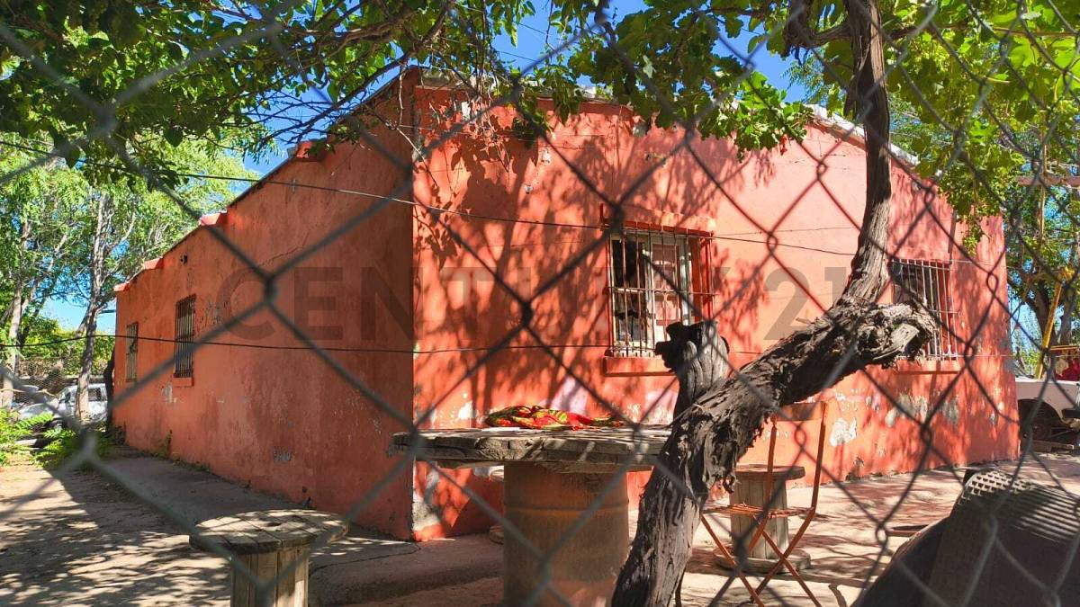 Campo en Venta en San Martin, Mendoza