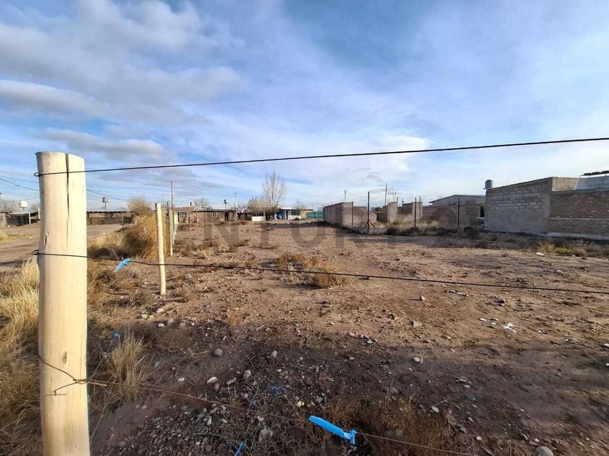 Terreno en Venta en Lujan de Cuyo, Mendoza