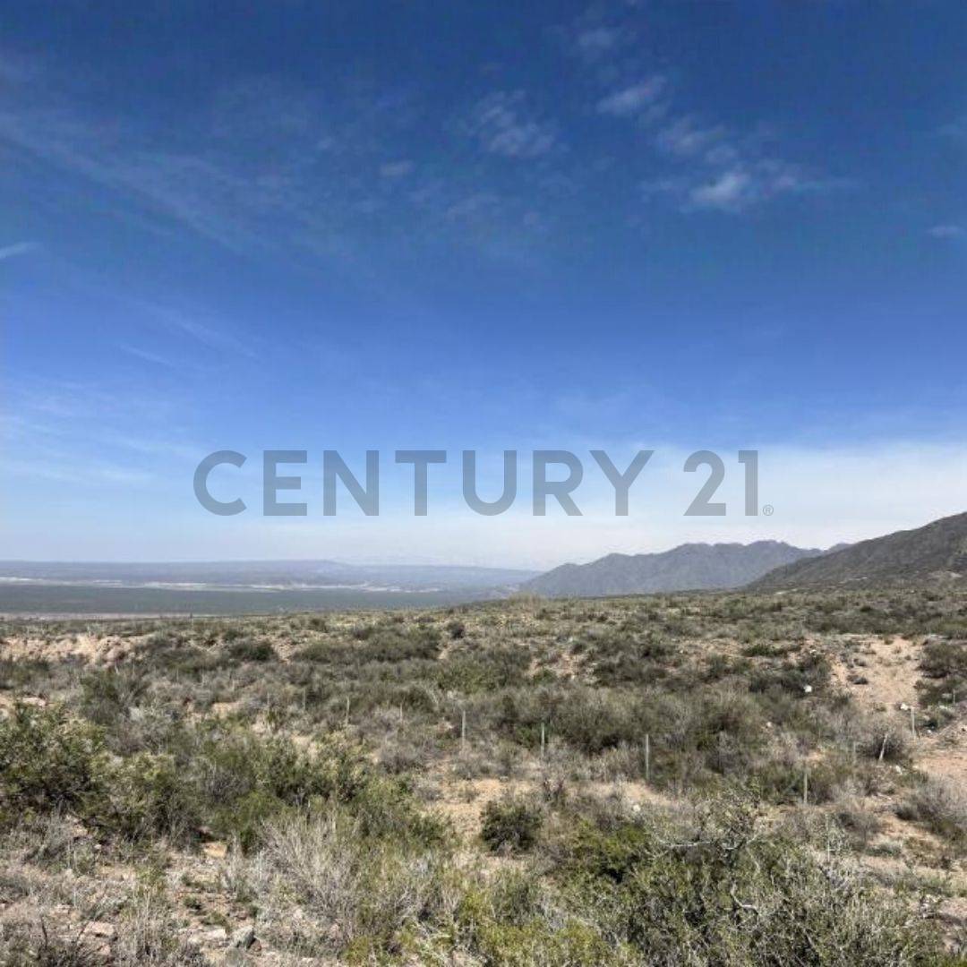 Terreno en Venta en Lujan de Cuyo, Mendoza