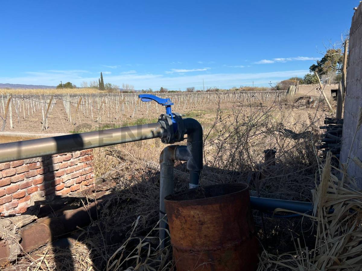 Campo en Venta en Angaco, San Juan