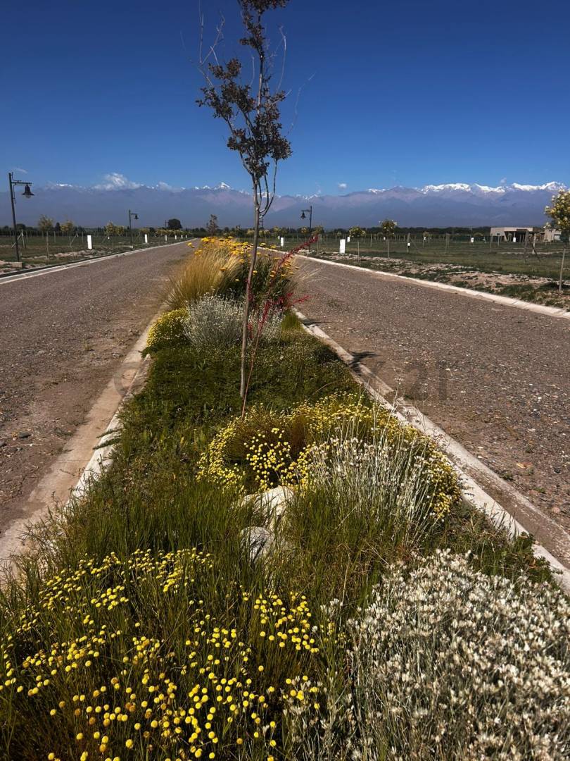 Terreno en Venta en Tupungato, Mendoza