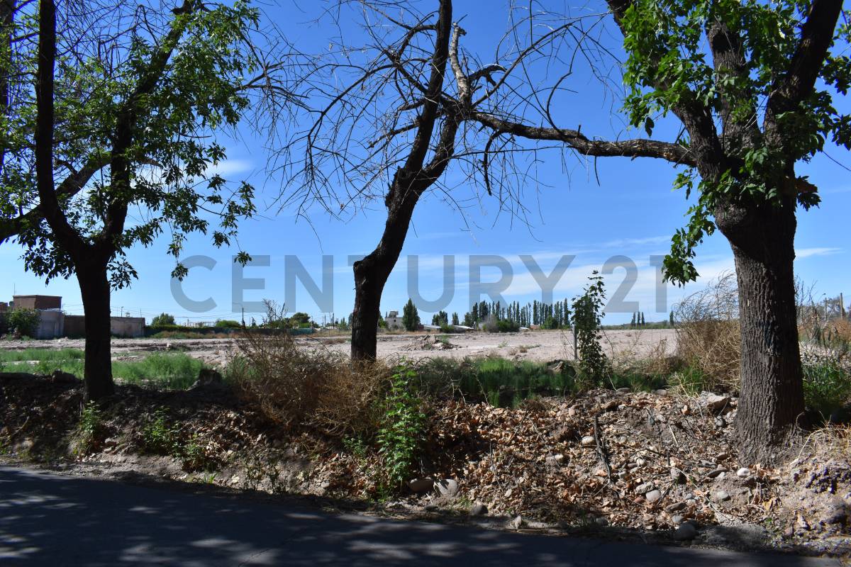 Terreno en Venta en Maipu, Mendoza