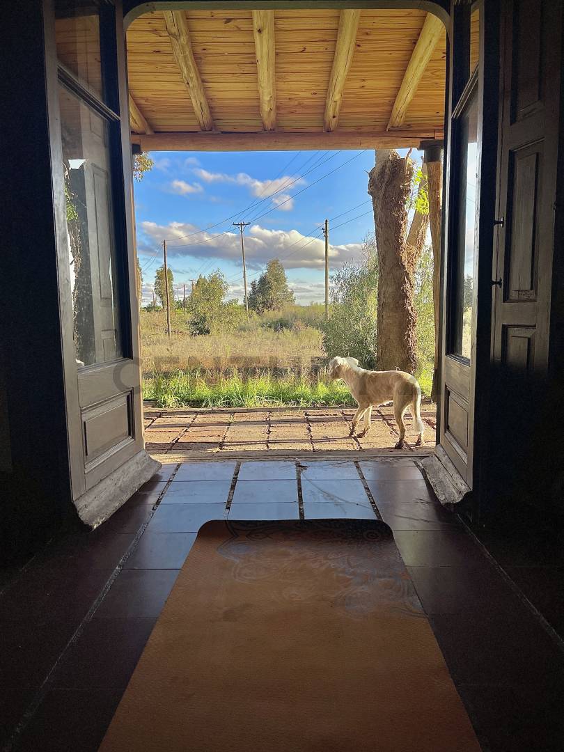 Terreno en Venta en Lavalle, Mendoza