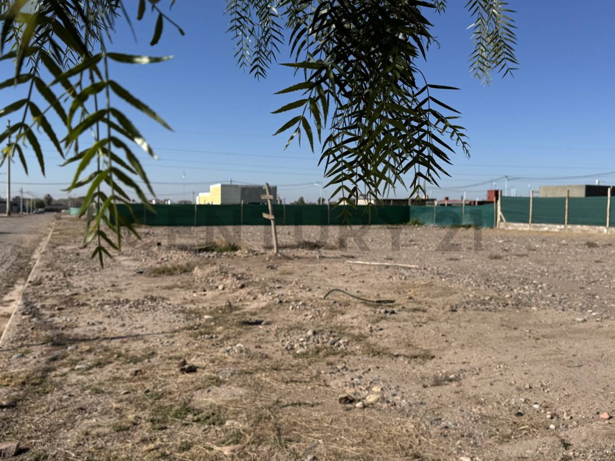 Terreno en Venta en Maipu, Mendoza