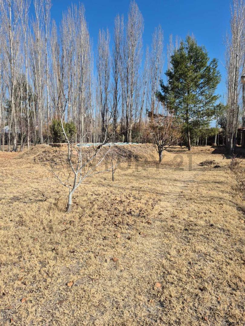 Terreno en Venta en Maipu, Mendoza