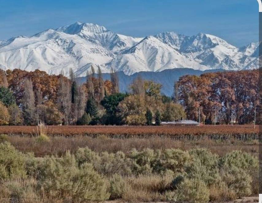 Campo en Venta en Tupungato, Mendoza