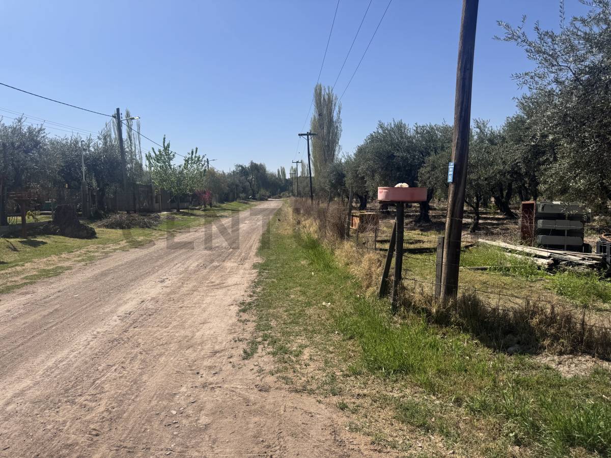 Campo en Venta en Maipu, Mendoza