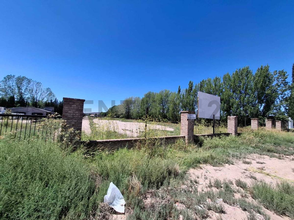 Terreno en Alquiler en Lujan de Cuyo, Mendoza