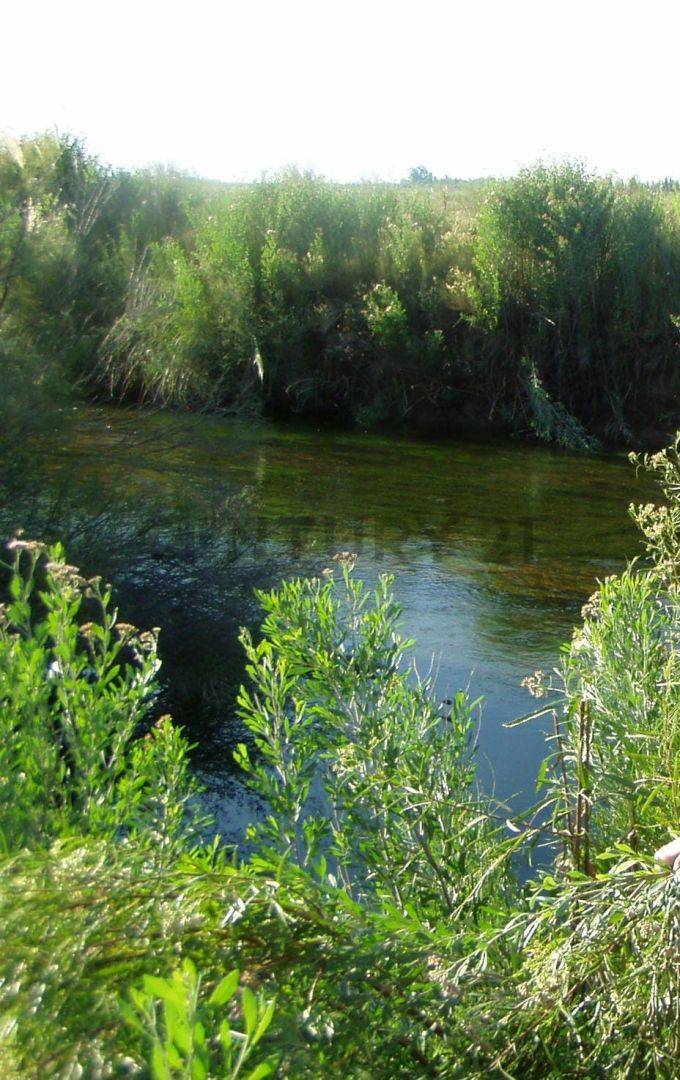 Campo en Venta en San Rafael, Mendoza