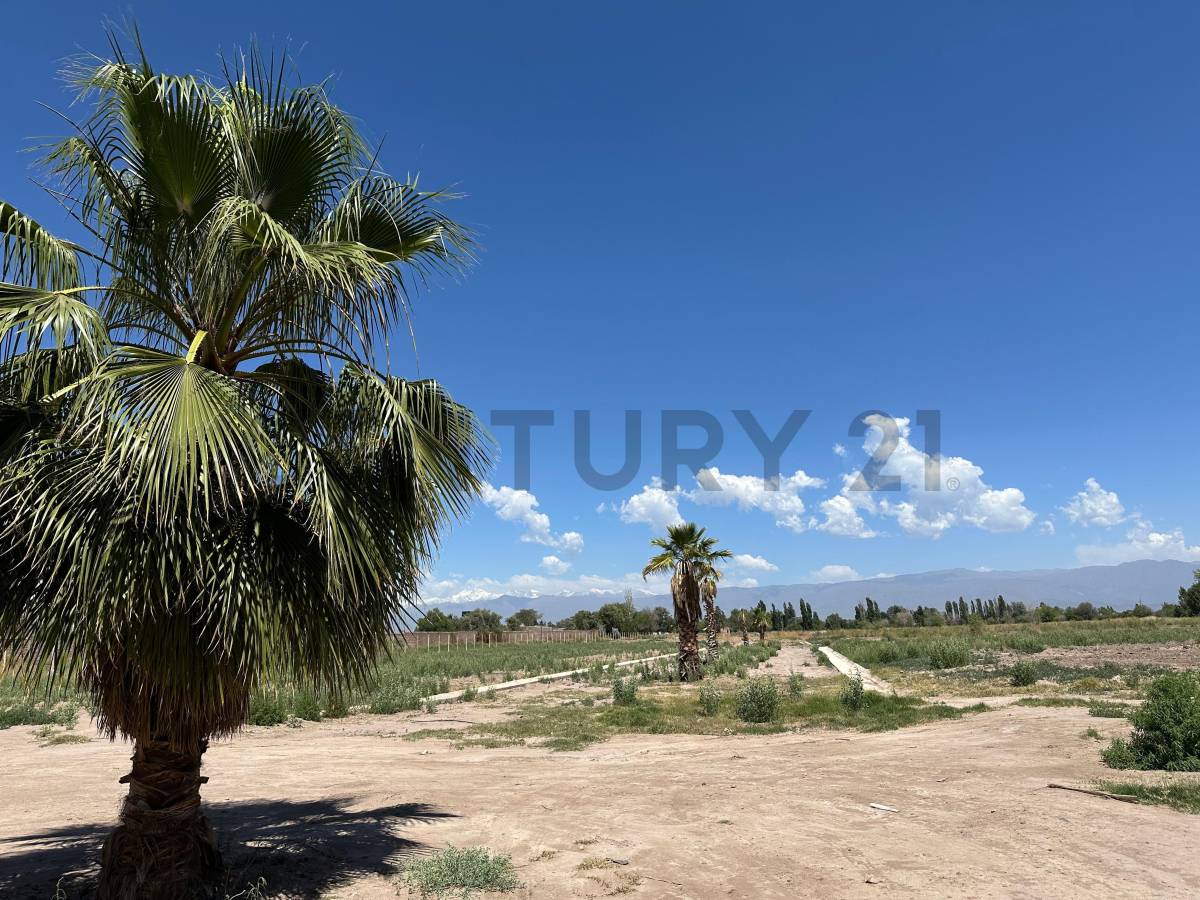 Terreno en Venta en Guaymallen, Mendoza