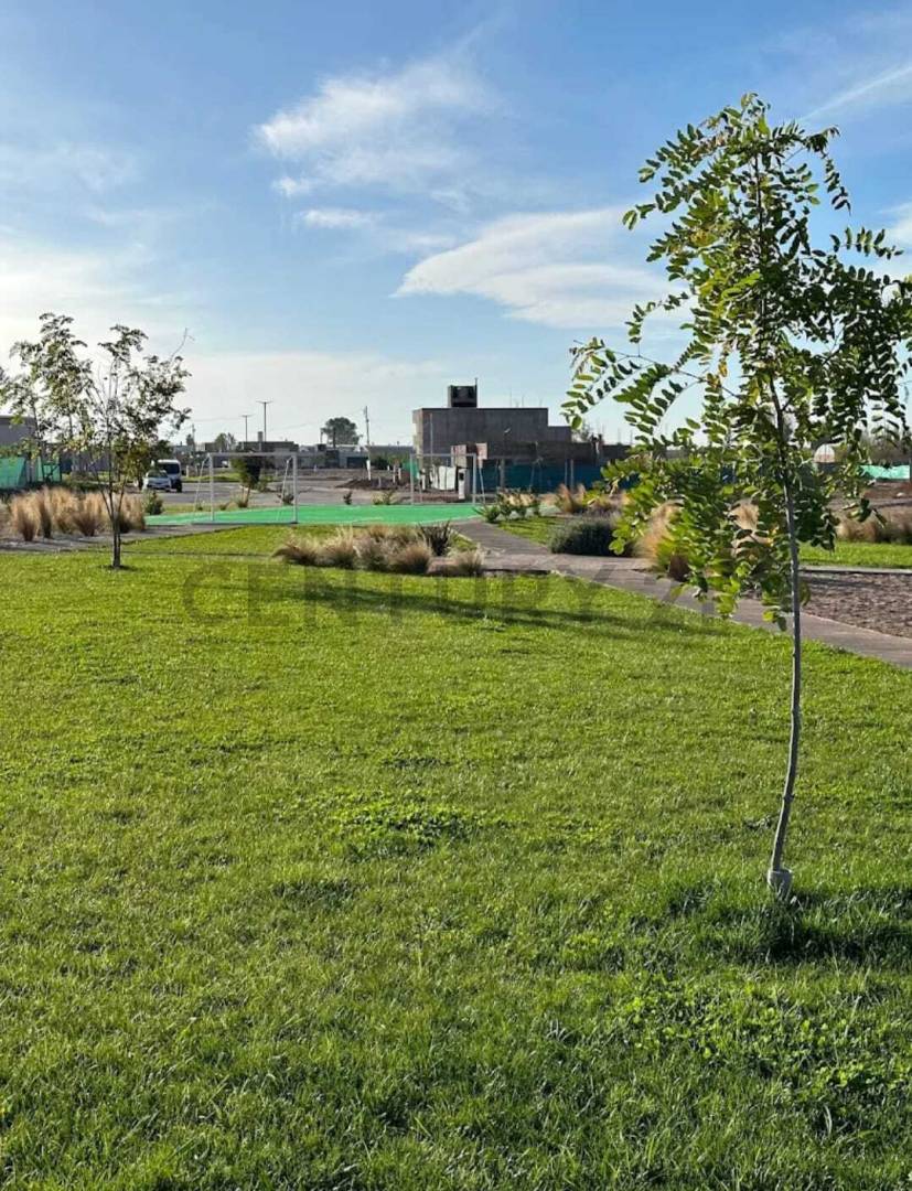 Terreno en Venta en Maipu, Mendoza