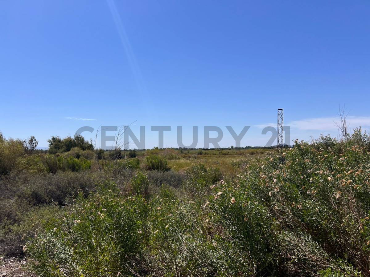 Campo en Venta en Pocito, San Juan