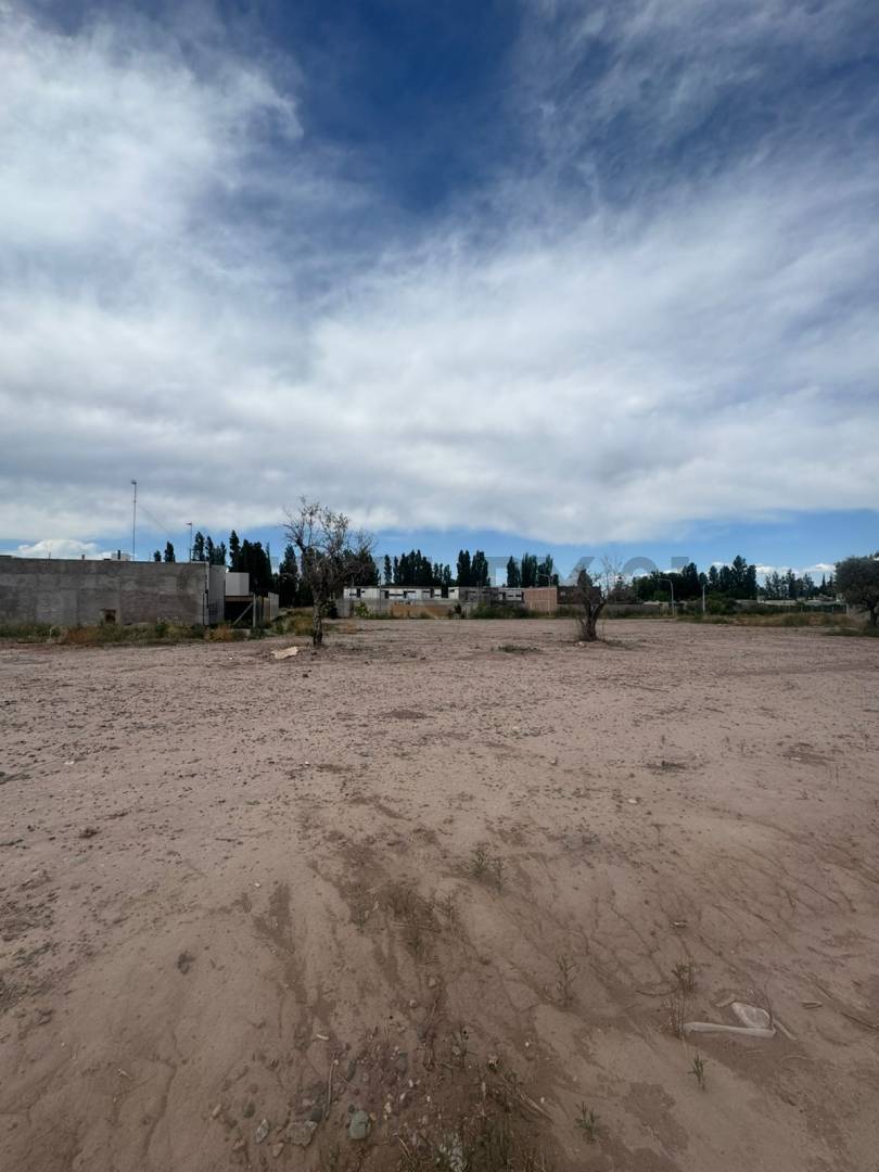 Terreno en Venta en Maipu, Mendoza