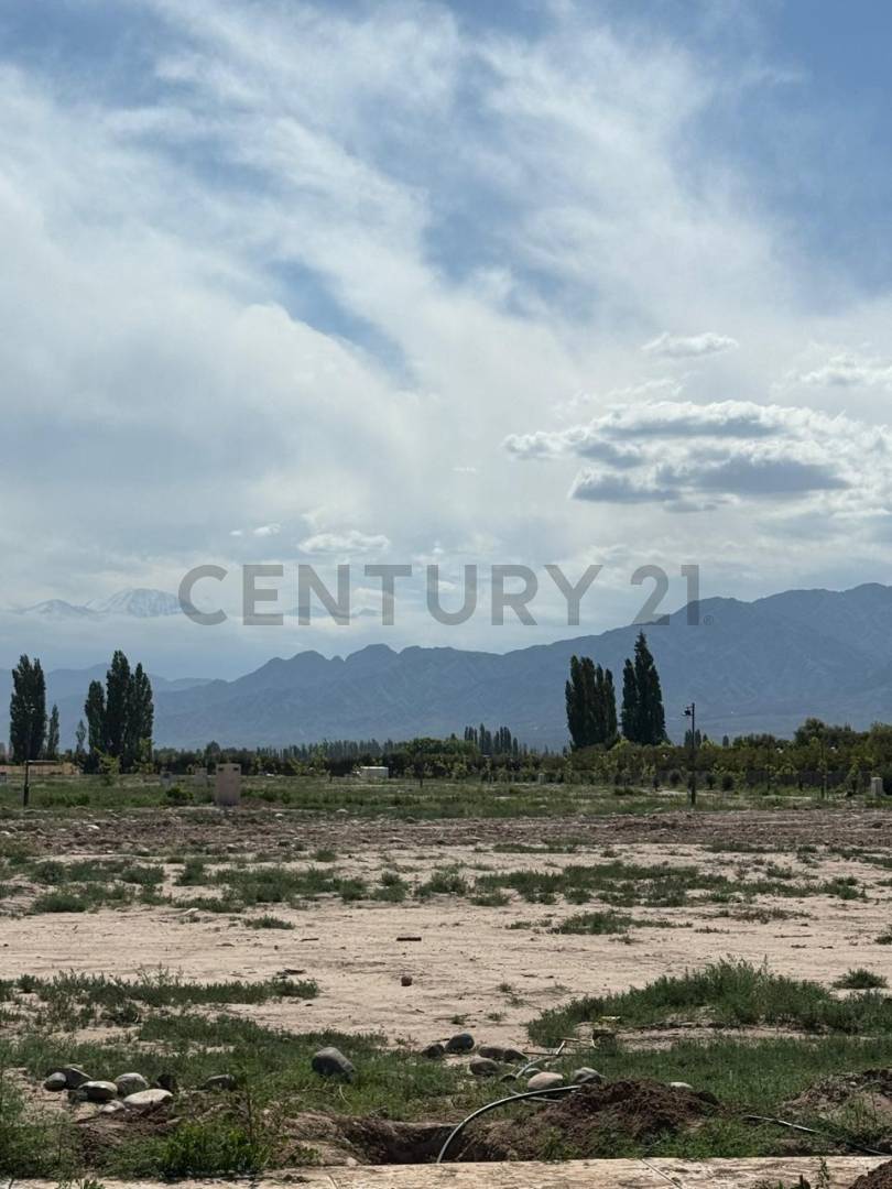 Terreno en Venta en Lujan de Cuyo, Mendoza