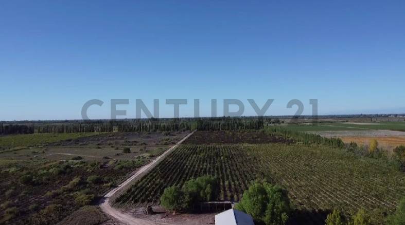 Campo en Venta en 25 de Mayo, San Juan