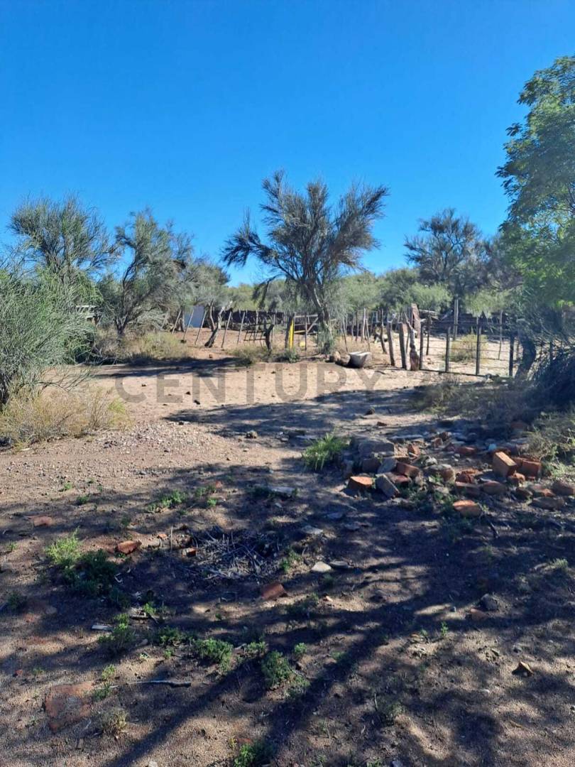 Campo en Venta en La Paz, Mendoza