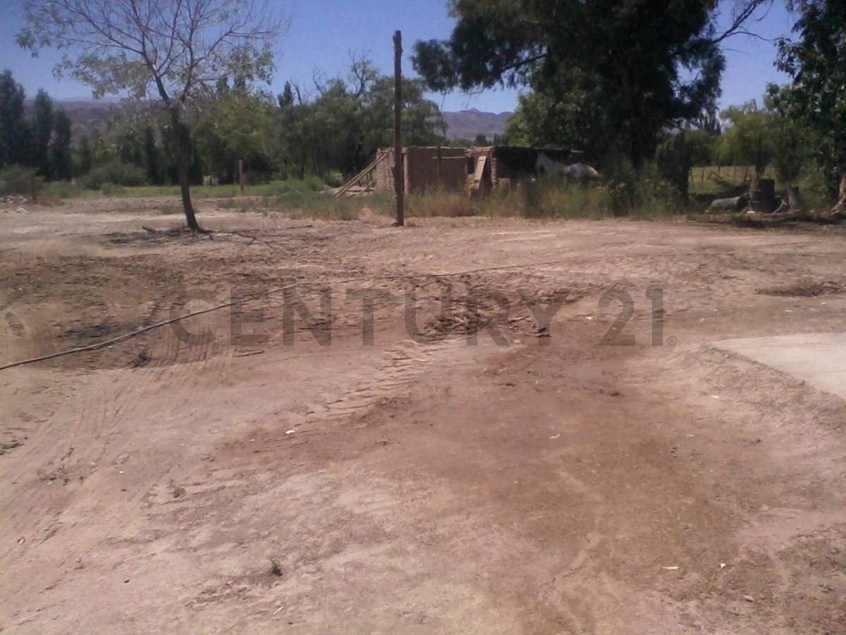Casa en Venta en Calingasta, San Juan