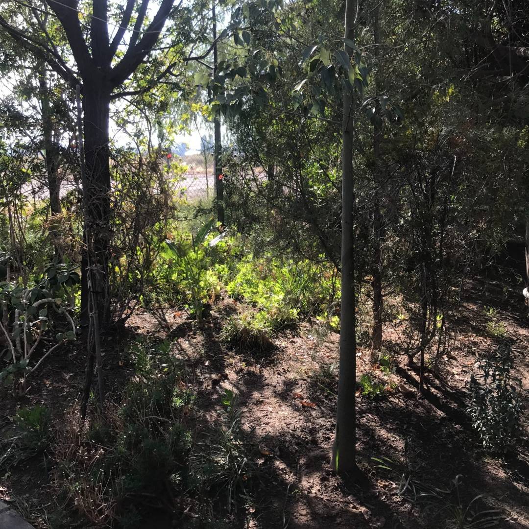 Casa en Venta en Las Heras, Mendoza