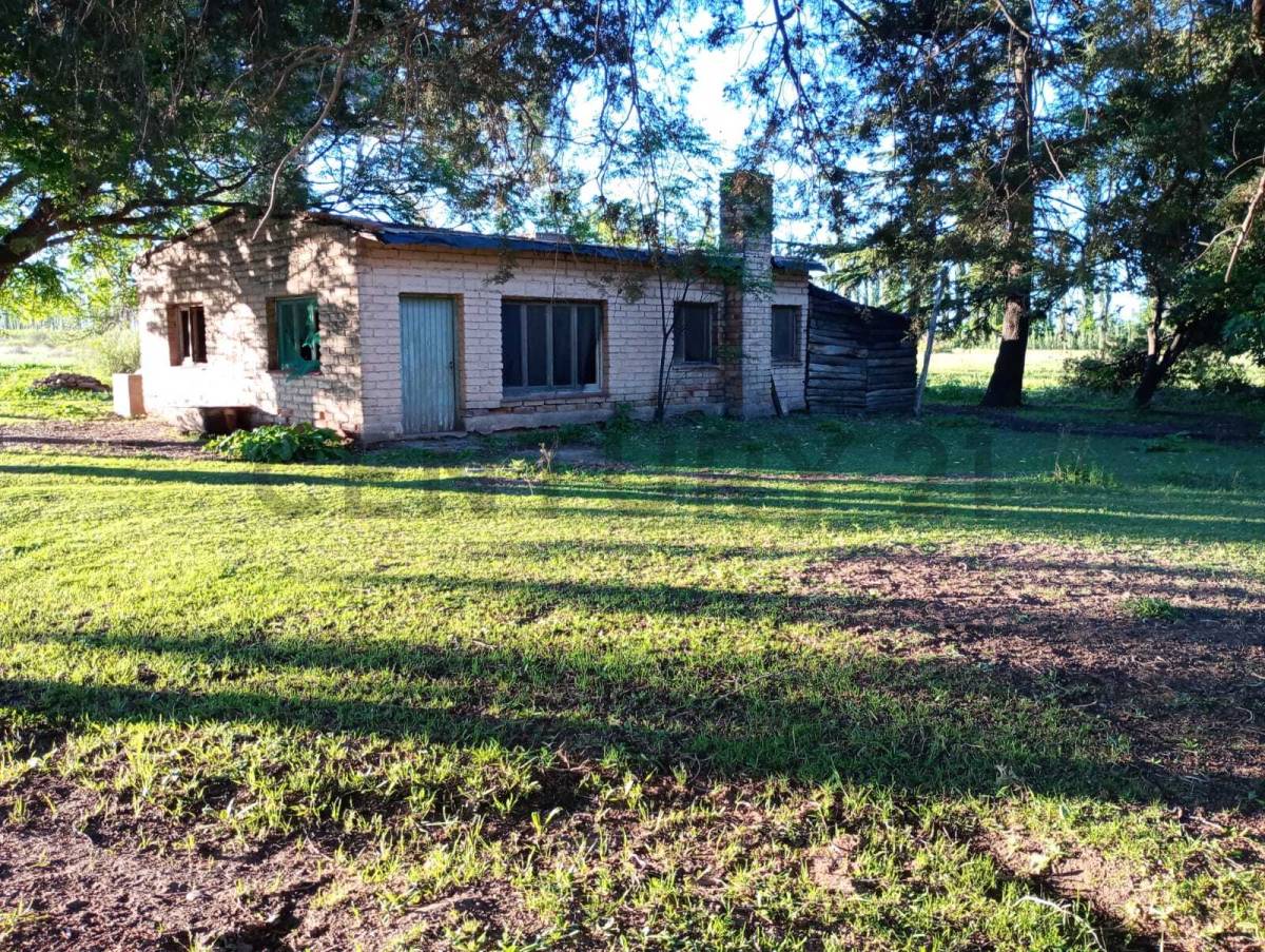 Casa Quinta en Venta en San Rafael, Mendoza