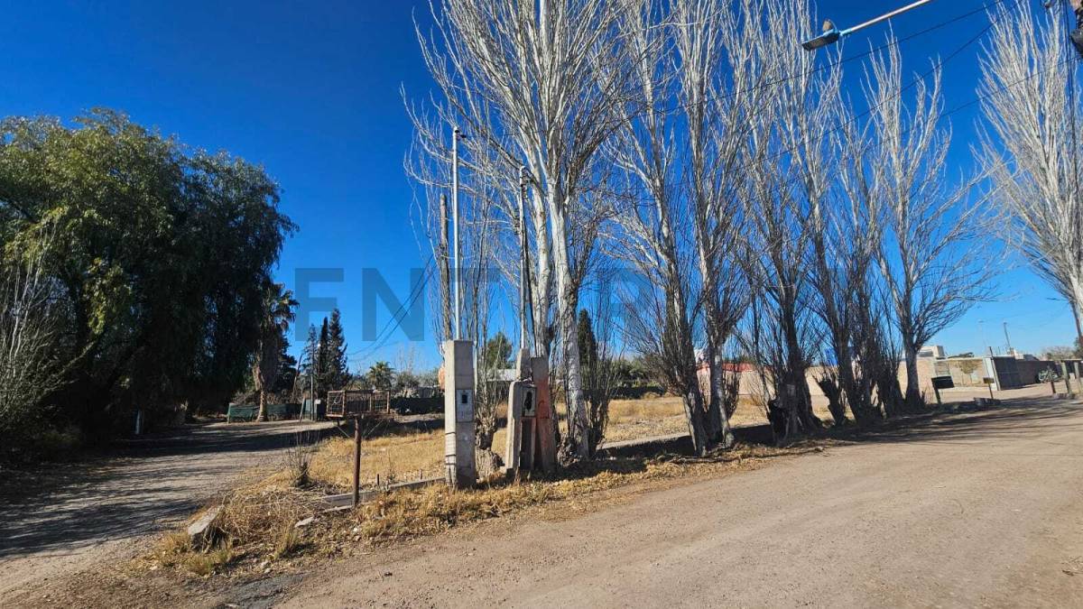 Terreno en Venta en San Martin, Mendoza