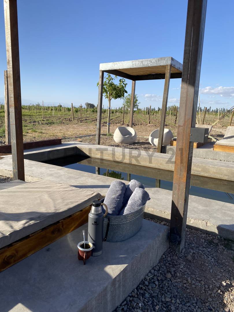 Campo en Venta en Lavalle, Mendoza