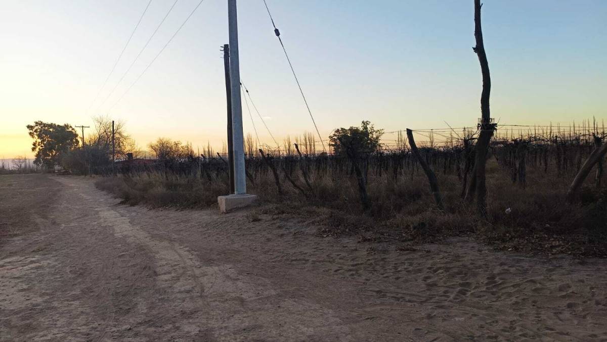 Campo en Venta en San Martin, Mendoza