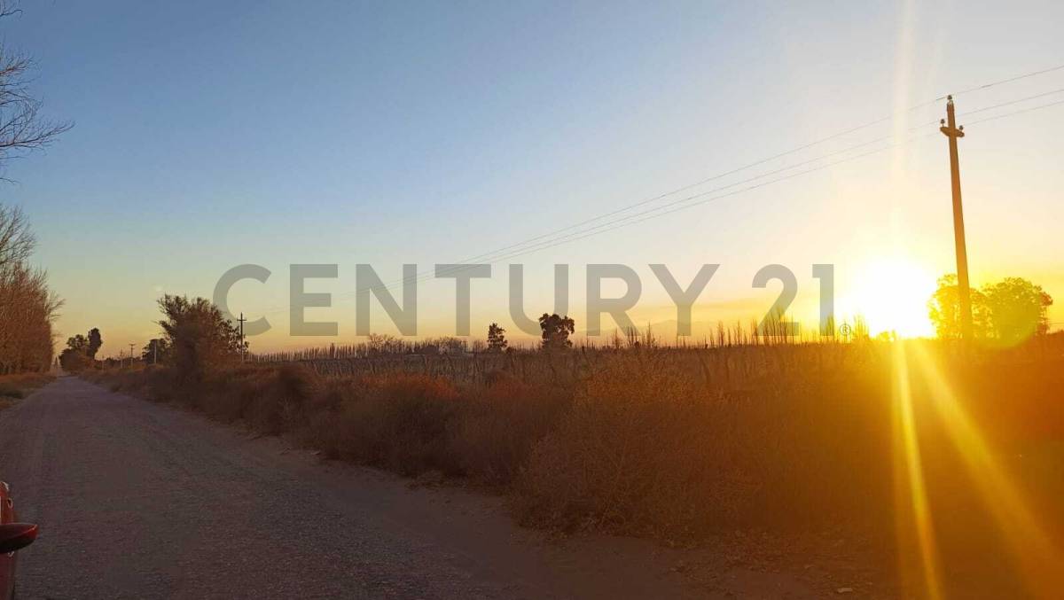 Campo en Venta en San Martin, Mendoza