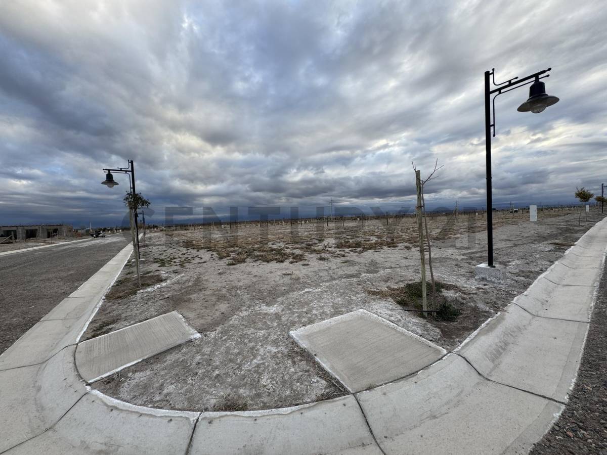Terreno en Venta en Tupungato, Mendoza