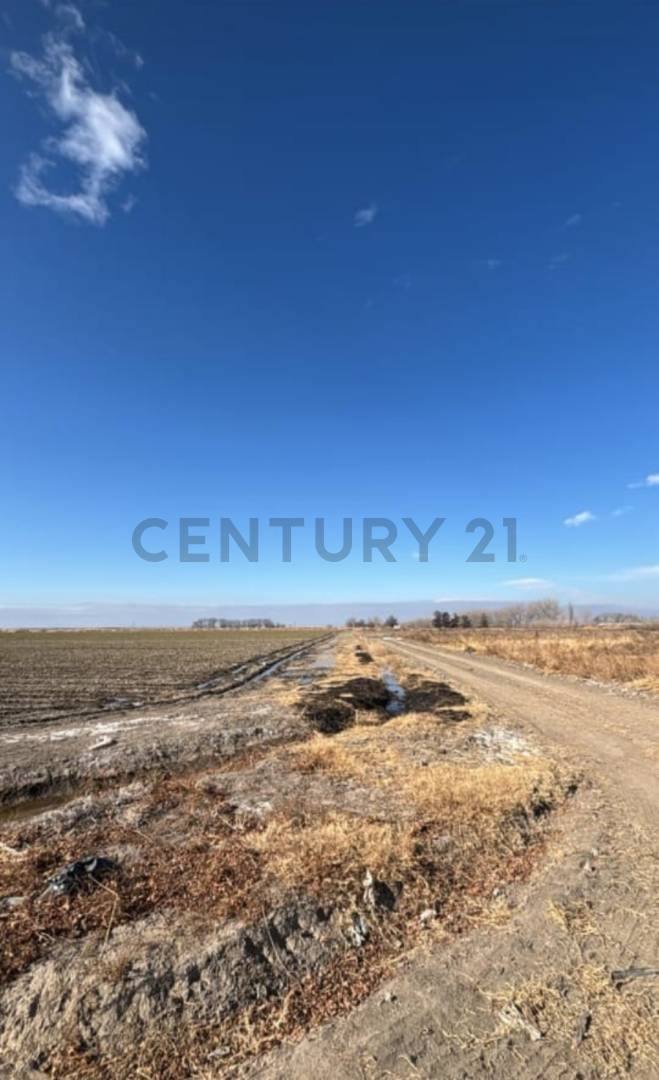Casa Quinta en Venta en Tupungato, Mendoza