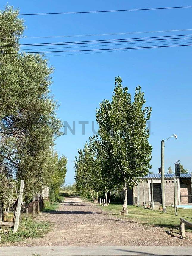 Terreno en Venta en Junin, Mendoza