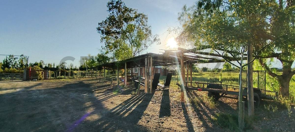 Casa Quinta en Venta en Lavalle, Mendoza