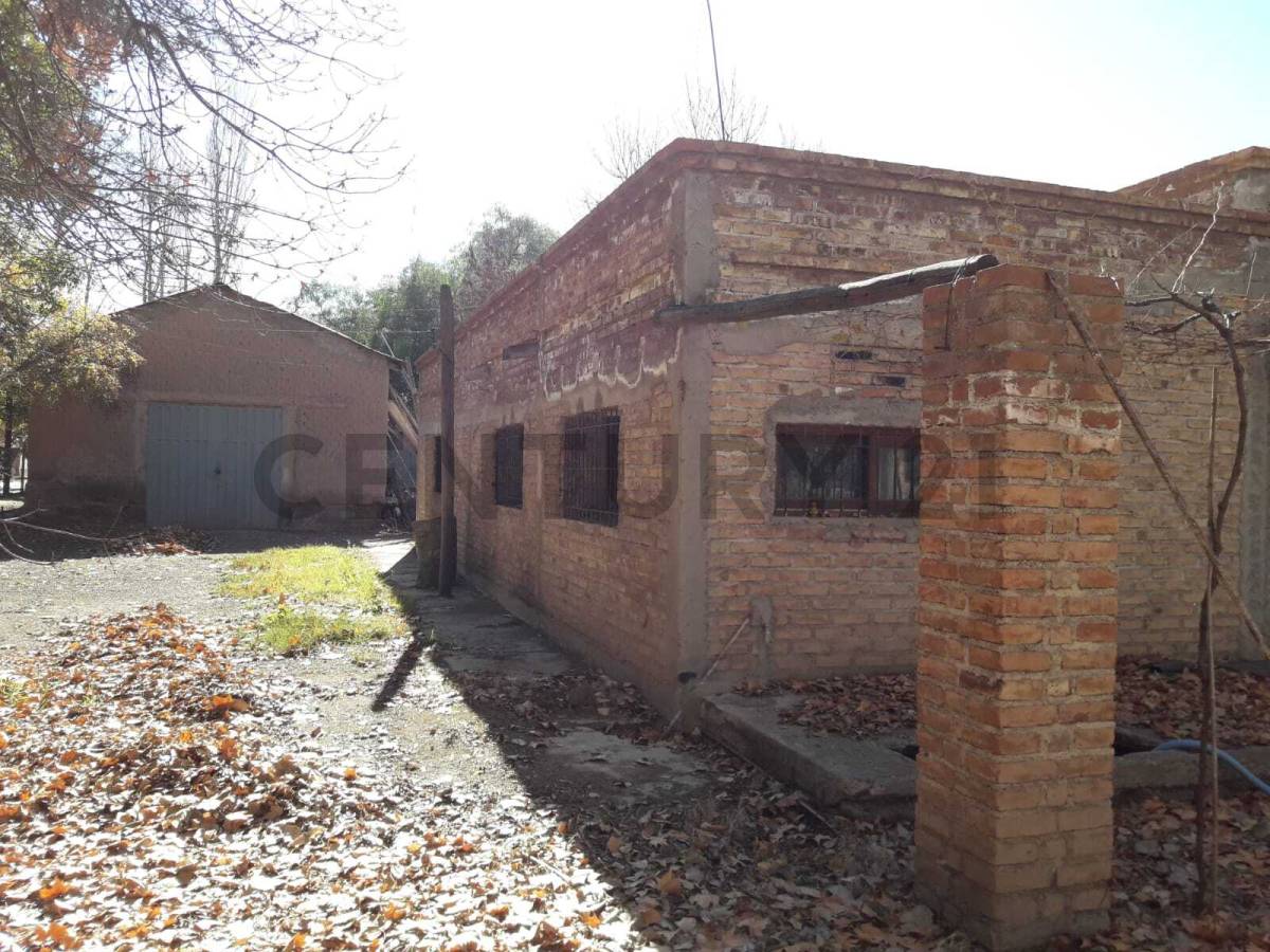 Campo en Venta en Lujan de Cuyo, Mendoza
