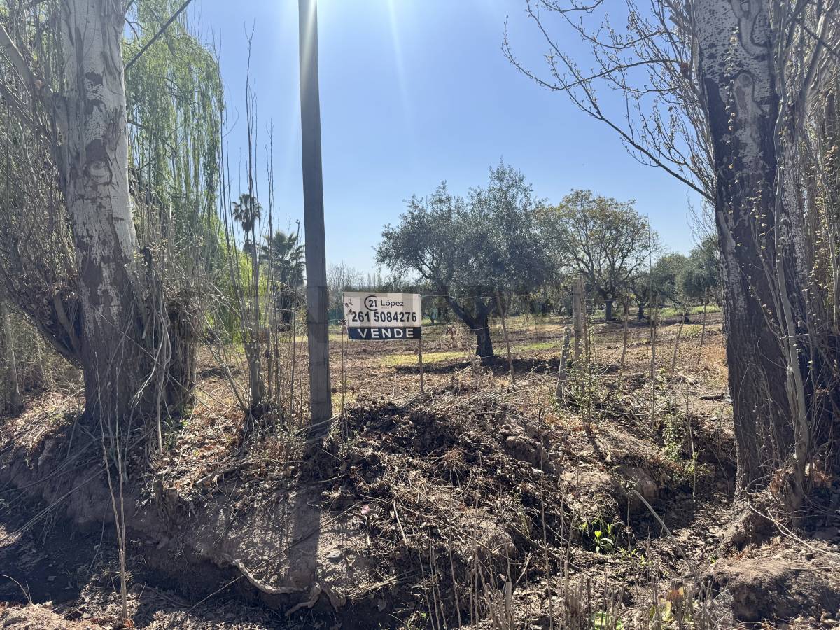 Campo en Venta en Maipu, Mendoza