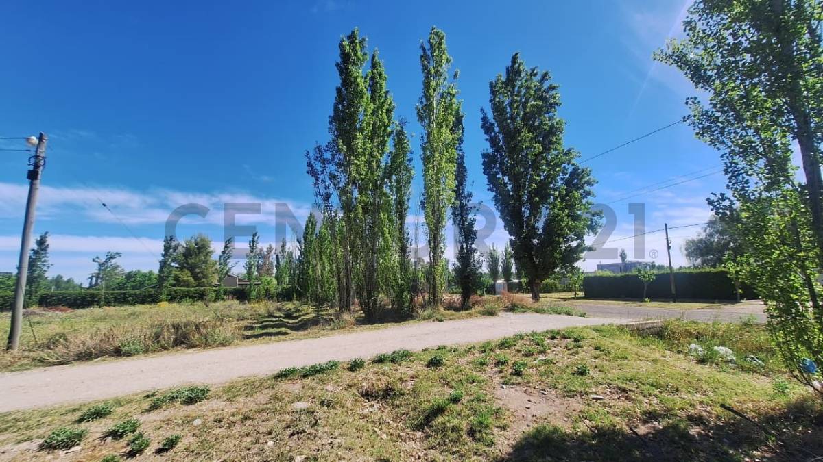 Terreno en Venta en San Rafael, Mendoza