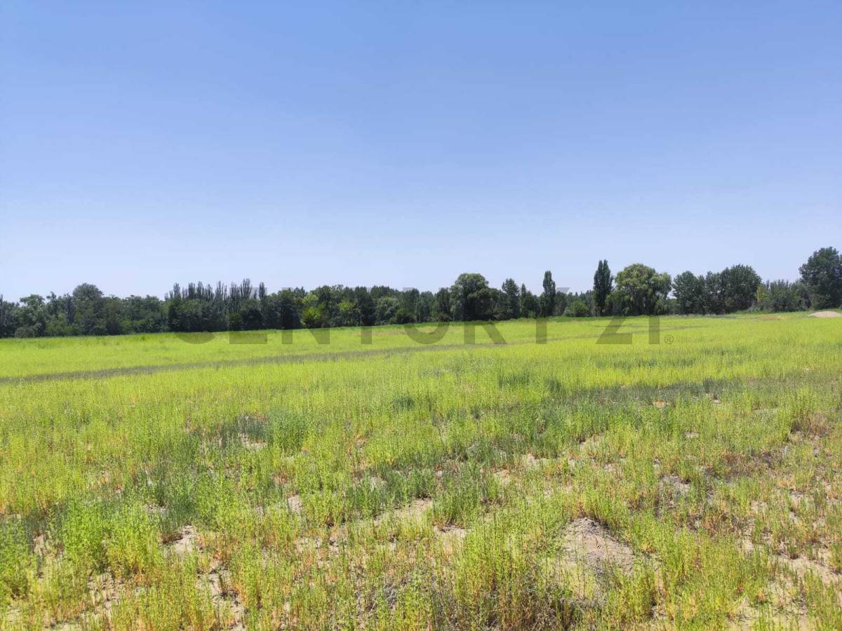 Terreno en Venta en Tunuyan, Mendoza