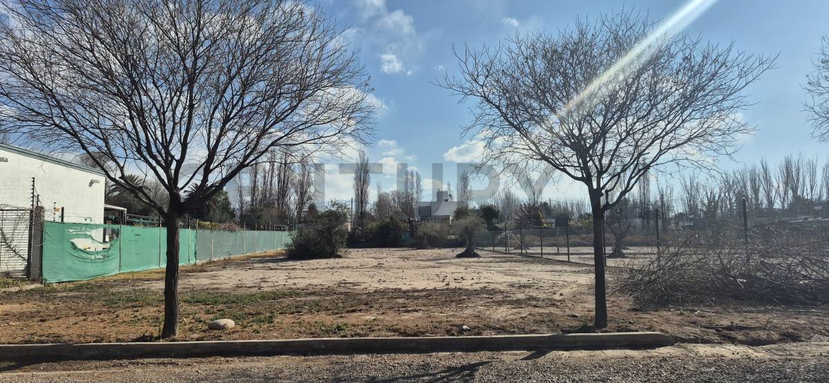 Terreno en Venta en Lujan de Cuyo, Mendoza