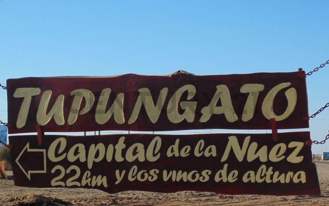 Terreno en Venta en Tupungato, Mendoza