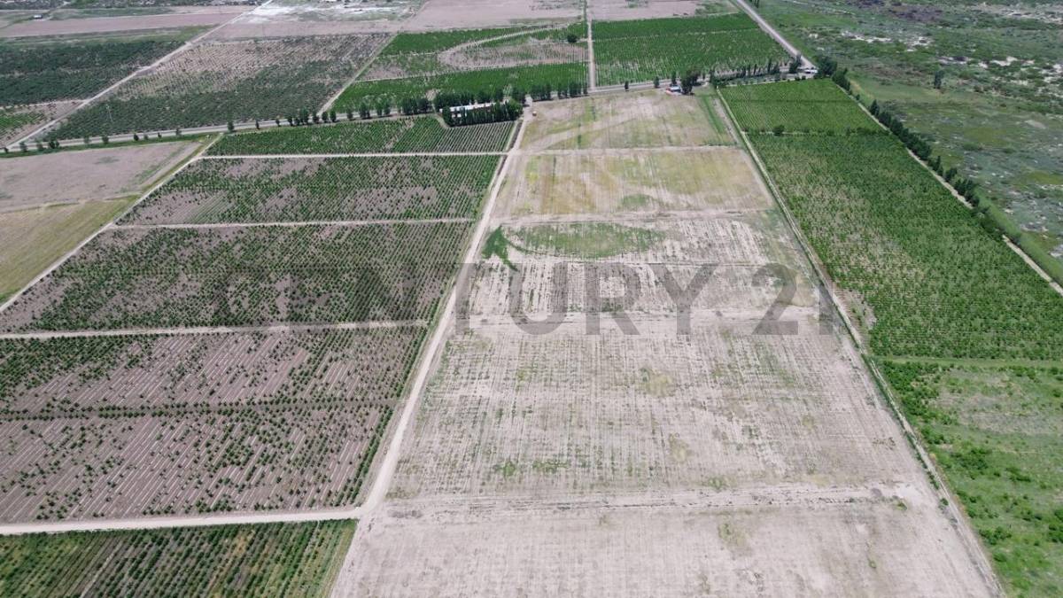 Campo en Venta en Lavalle, Mendoza
