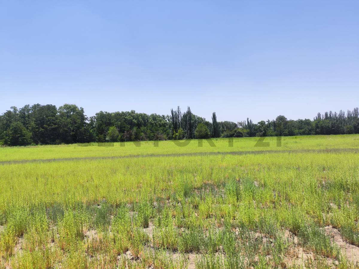 Terreno en Venta en Tunuyan, Mendoza