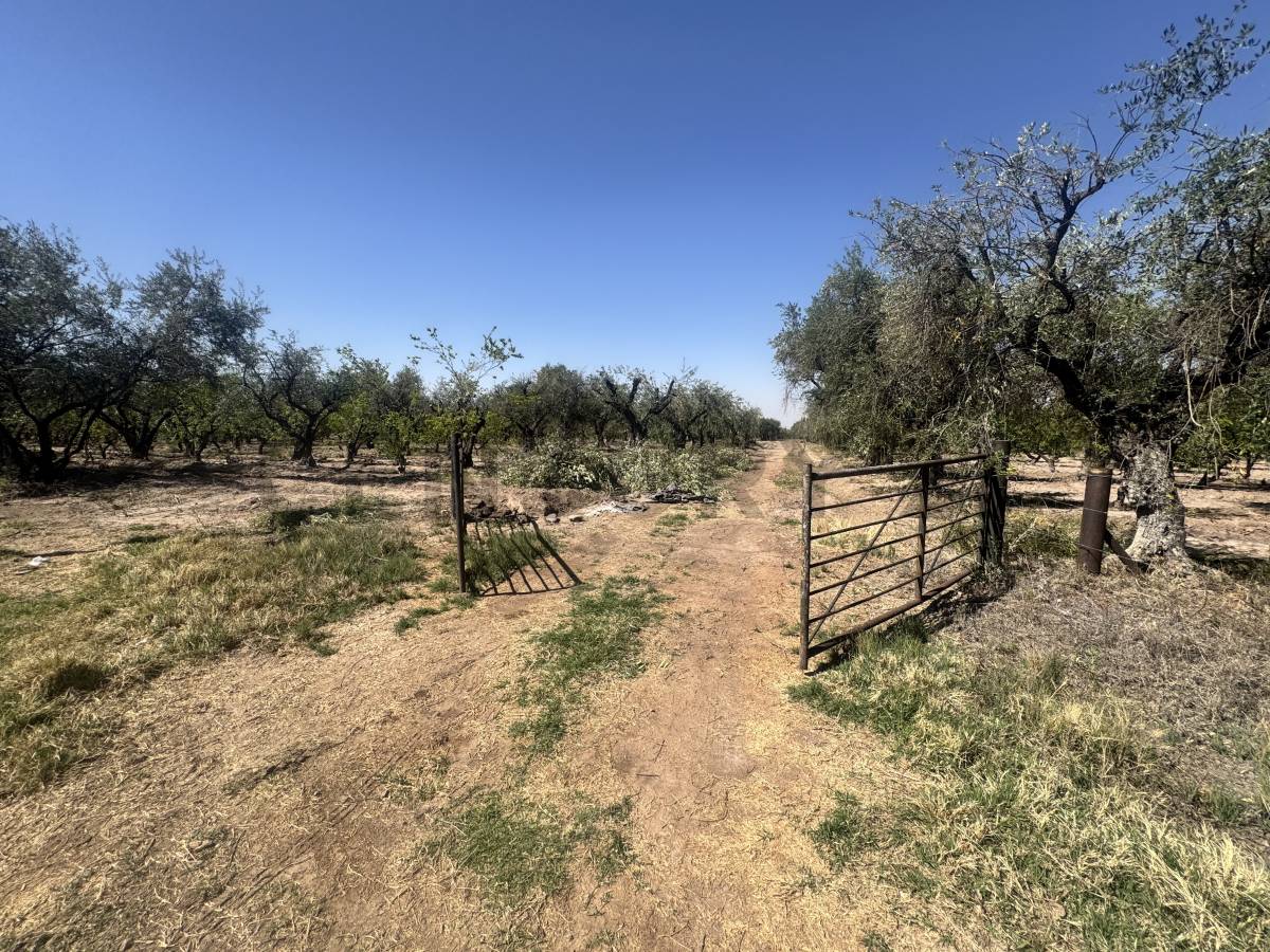 Campo en Venta en Maipu, Mendoza