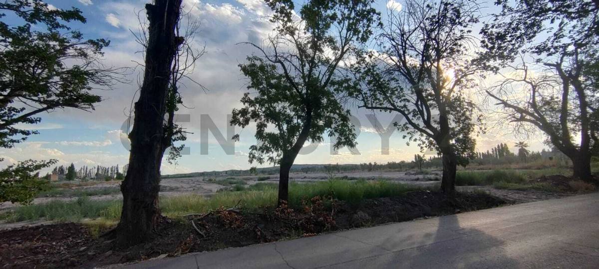 Terreno en Venta en Maipu, Mendoza