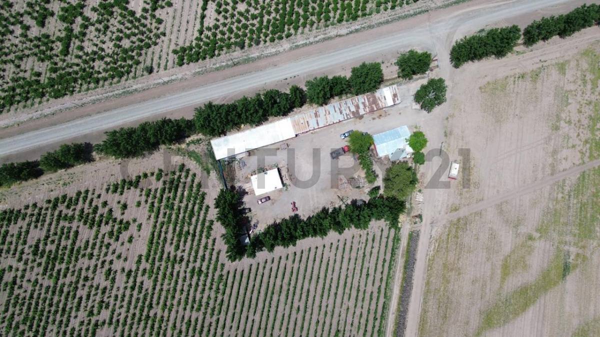 Campo en Venta en Lavalle, Mendoza
