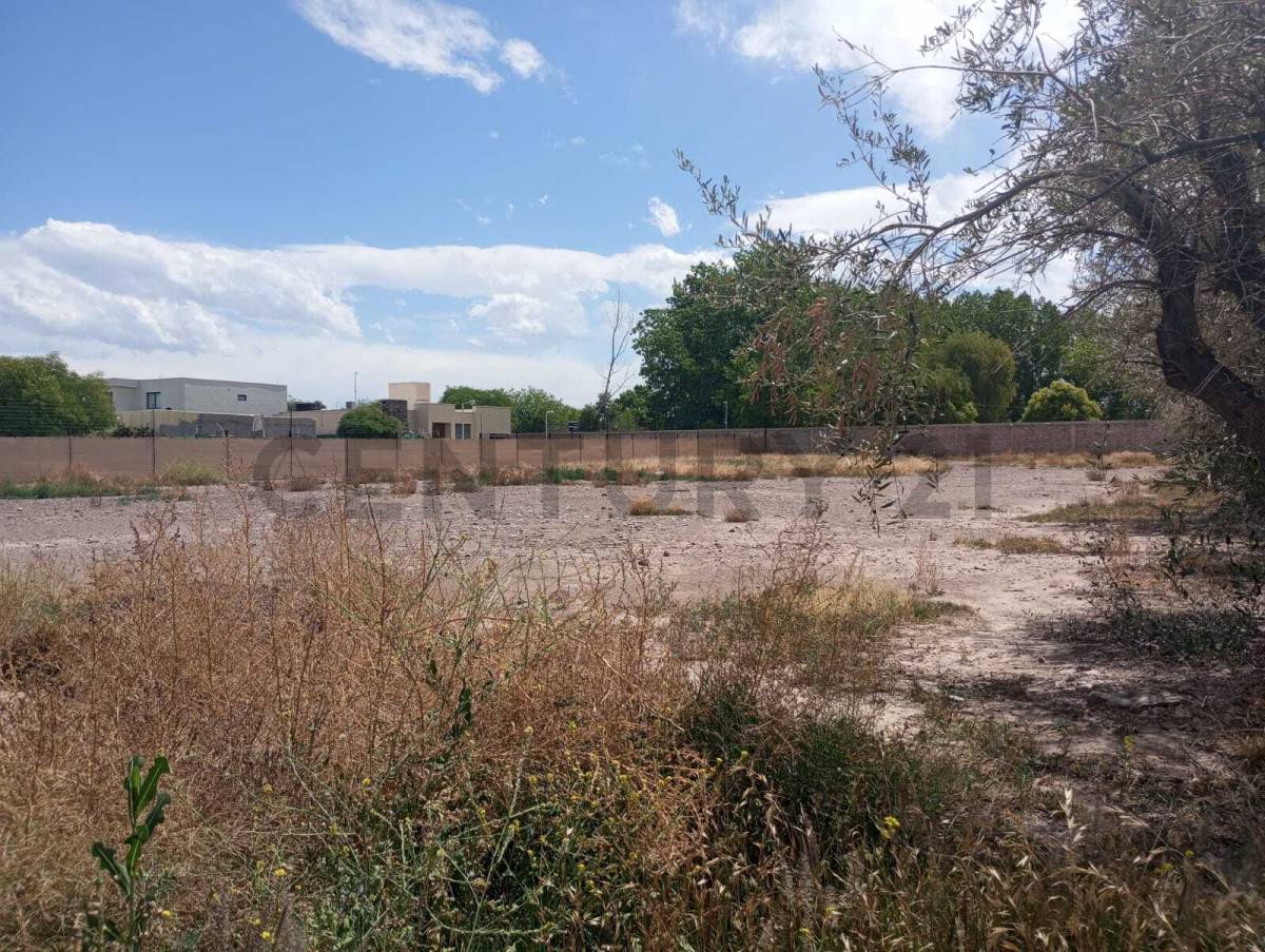 Terreno en Venta en Maipu, Mendoza