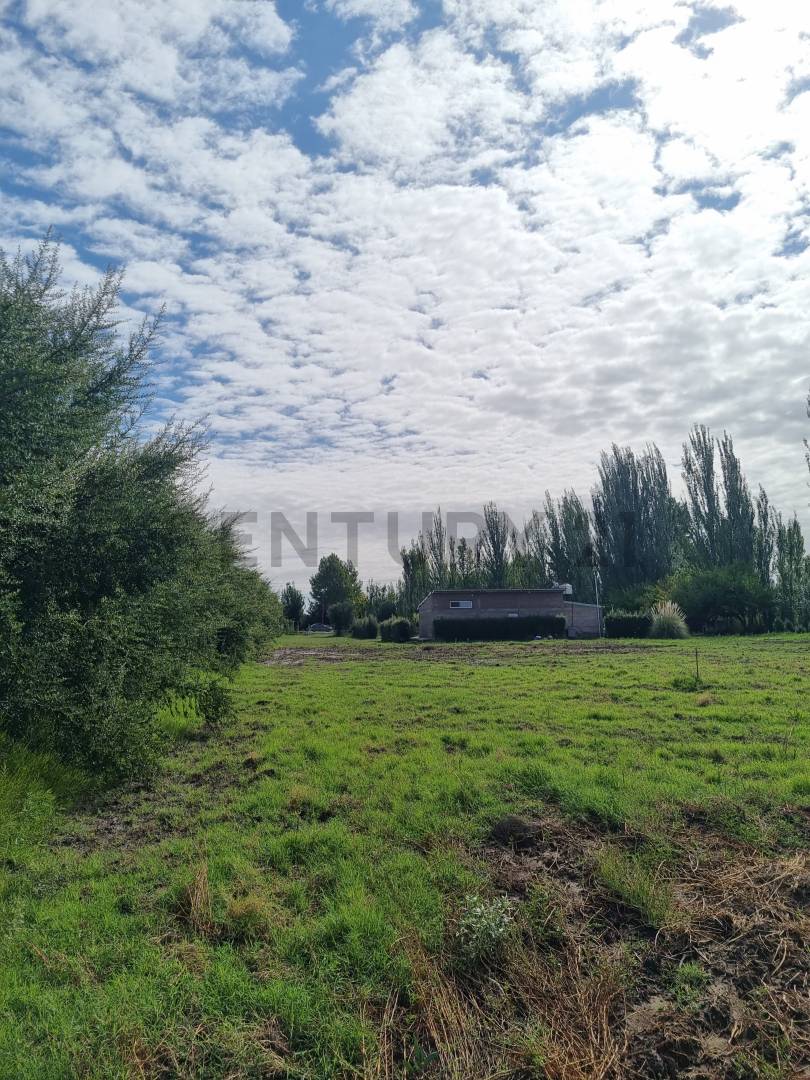 Terreno en Venta en San Rafael, Mendoza