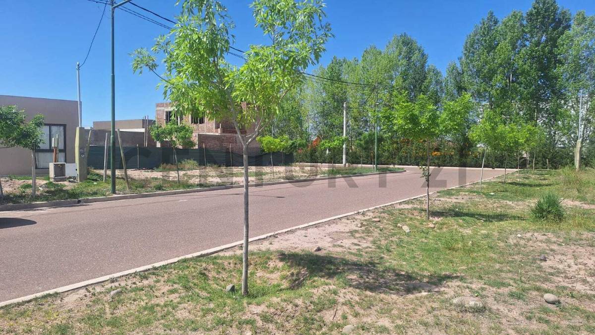 Terreno en Venta en Lujan de Cuyo, Mendoza