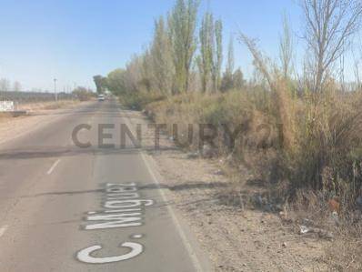 Terreno en Venta en San Martin, Mendoza